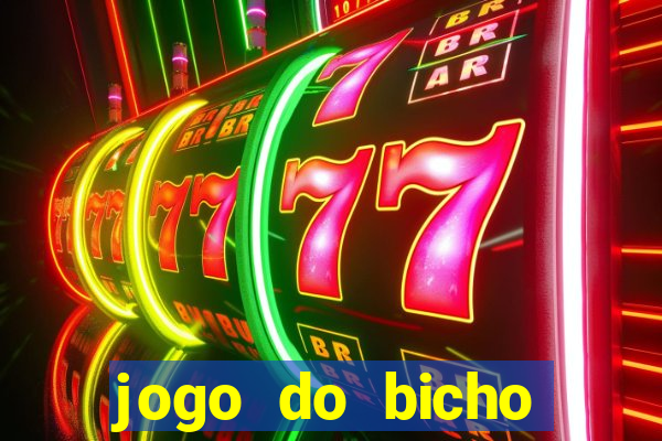 jogo do bicho crash bingo